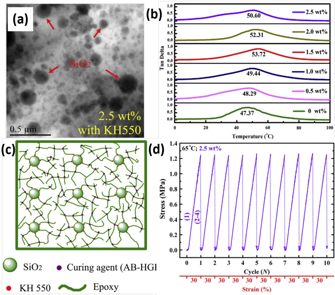 Figure 2 (a) TEM images of the water-borne epoxy particles. (b) tanδ of the SiO2/epoxy composites from dynamic mechanical analysis. (c) Schematic illustration of silica–epoxy composites synthesis. (d) Stress–strain curves of the 2.5 wt.% SiO2/epoxy composite during 10 thermo-mechanical cycles [70]