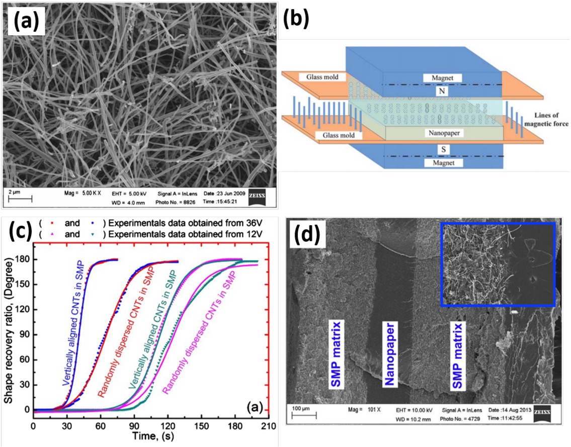 Figure 10 (a) Morphologies and network structures of the CNF nanopaper [136]. (b) Schematically illustrating fabrication of the SMPCs with magnetically aligned nickel nanostrands [137]. (c) Curves show the recovery profiles of SMP nanocomposites with, respectively, aligned and randomly dispersed 8 wt. % magnetic CNTs under 12 V and 36 V voltage [138]. (d) Structures of multi-layered nanopapers in SMCs, and the good interface between SMPs and nanopapers [140]