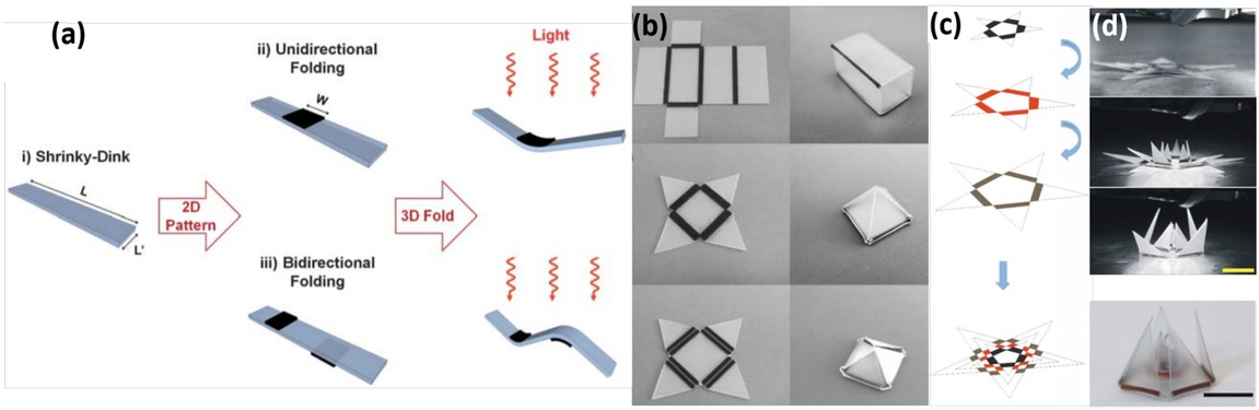 Figure 11 (a) Schematic illustration of the self-folding approach, and (b) 3D structures created by self-folding of PS patterned by black inks [145]. (c) Schematic illustration of three-layer lotus by a small star (black hinges) placed on the top of a medium-sized star (red hinges) placed on top of the largest star (walnut-colored hinges), and (d) images of a folded structure [146]