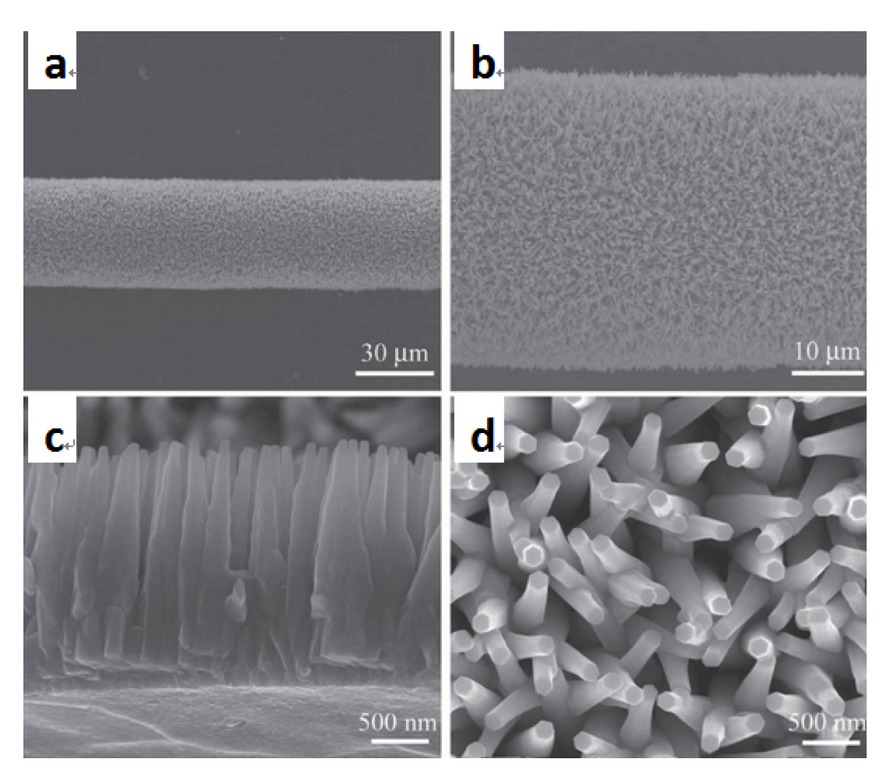 Figure 1 (a) SEM image of ZnO nanowire arrays grown on stainless-steel microwires. (b) Magnified SEM image of a wire section, uniformly covered with high-density ZnO nanowires. (c) Cross-section and (d) top-view SEM images showing the well-aligned, high-density ZnO nanowire arrays grown on the stainless-steel microwire.