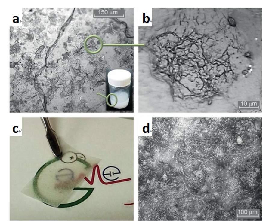 Figure 2 (a, b) Optical microscope analysis of the NFC dried network of fibers; (c) appearance of a 30 wt% NFC-based PEM; (d) a 30 wt% NFC-based PEM observed with an optical microscope.