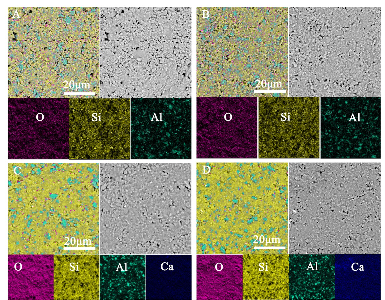 Figure 4 Elemental map distributions measured by back scattered electron mode: A) S1; B) S4; C) S8; D) S9