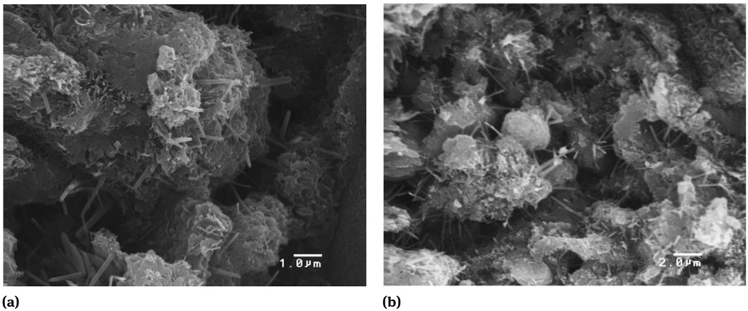 Figure 4 SEM micrographs of control group concrete: (a) 10,000× and (b) 5000× [102]