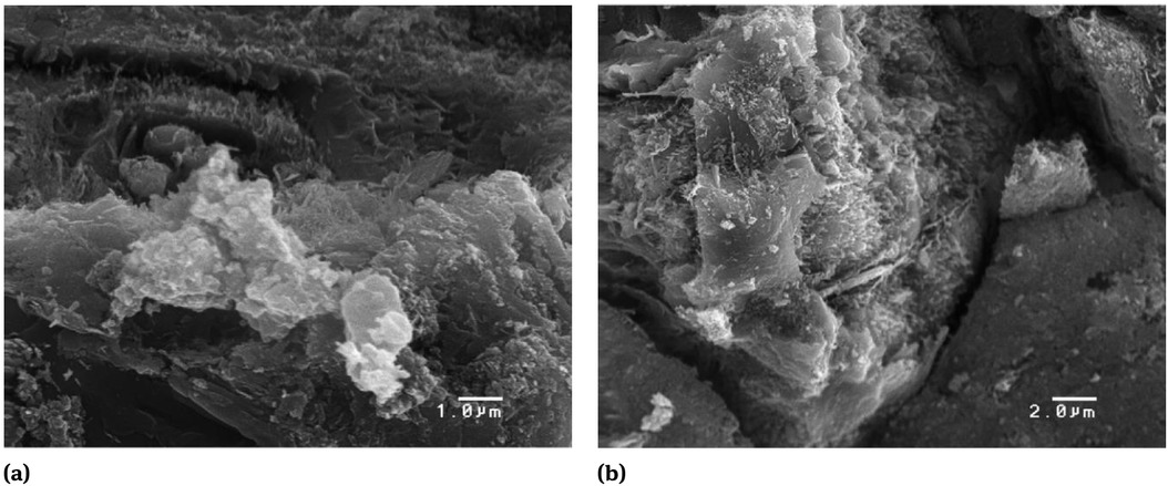 Figure 5 SEM micrographs of paste containing nano-SiO2 particles 10,000× and (b) 5000× [102]