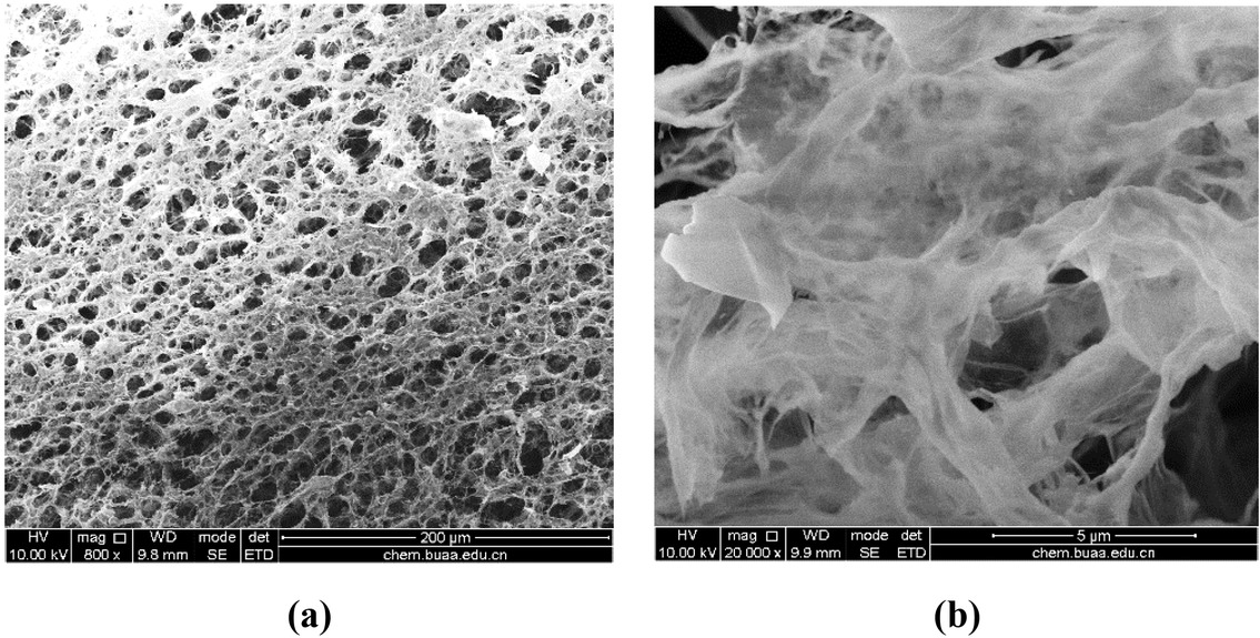 Figure 2 SEM images of GO: (a) magnification with ×800; (b) magnification with ×20000