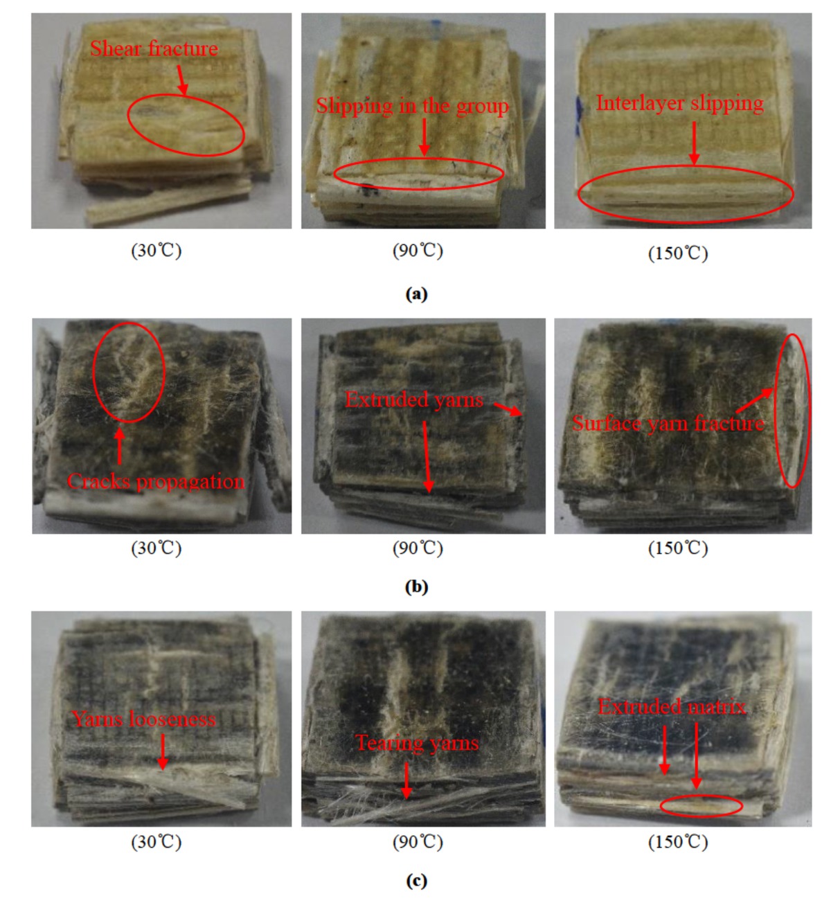 Figure 10 Out-of-plane compression fracture morphologies at different temperatures: (a) desized composite; (b) D400-GO-grafted composite; (c) GO-grafted composite