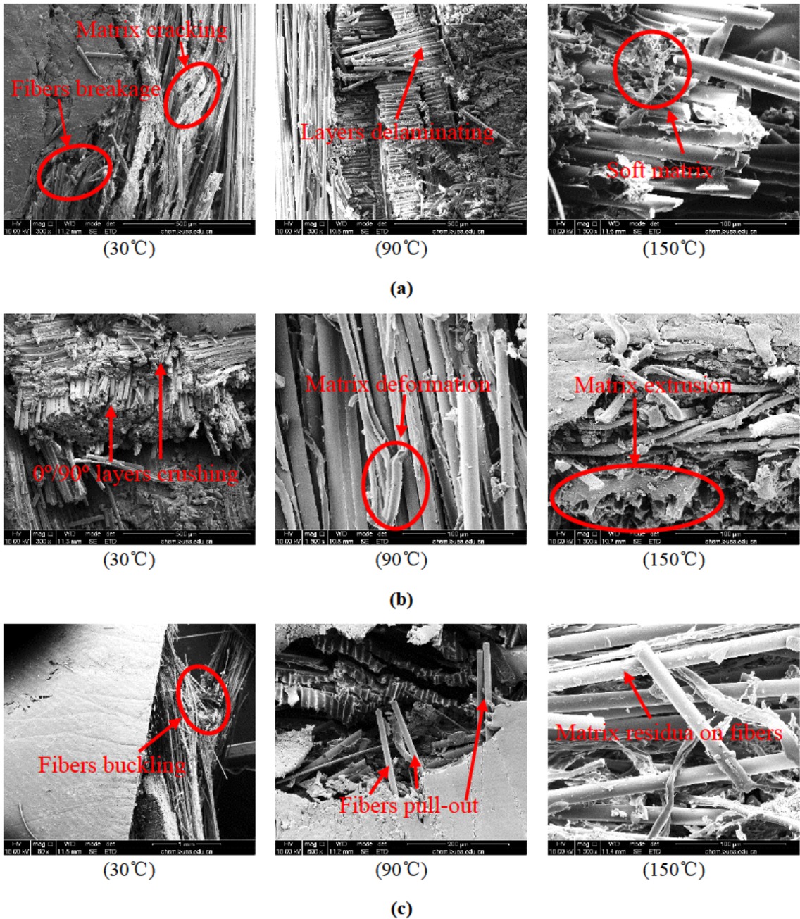 Figure 11 SEM photographs of out-of-plane compression fracture for three kinds of composites: (a) desized composite; (b) D400-GO-grafted composite; (c) GO-grafted composite
