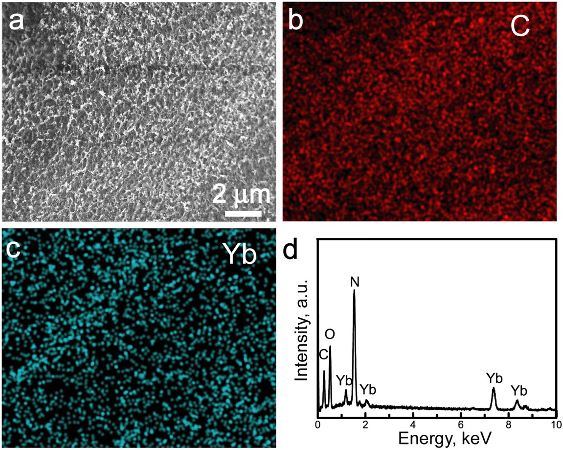 Figure 1 (a) SEM image; (b) C element distribution image; (c) Yb element distribution image; (d) EDS spectrum of the Yb-CS hydrogels