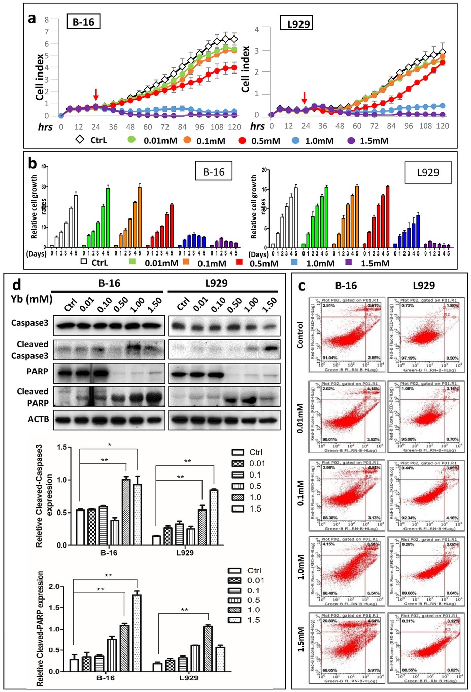 Figure 6 Yb3+ induces higher apoptosis rates in B-16 cells than in L929 cells. (a) RTCA assay results of B-16 and L929 cells in medium containing Yb3+ at different concentrations. Cells were first cultured in regular medium for 24 h (red arrow) and then treated with the Yb3+ ion. (b) Relative cell growth of B-16 and L929 cells at different timepoints (1, 2, 3, 4, and 5 days) obtained from the RTCA data. (c) Flow cytometry results of B-16 and L929 cells treated with medium containing different concentrations of Yb3+ for 24 h. (d) Western blot of apoptosis marker proteins (caspase3 and PARP and their cleaved forms) in B-16 and L929 cells treated with medium containing different concentrations of Yb3+ for 24 h. Relative expression of Cleaved-PARP and Cleaved Caspase3 in B-16 and L929 cells based on the western blot results. *p<0.05, **p<0.01