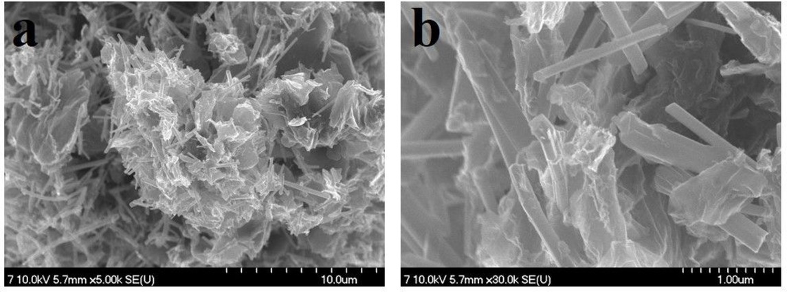 Figure 3 (a) low and (b) high magnification FE-SEM images of the synthesized Se-nanorods/rGO nanocomposite