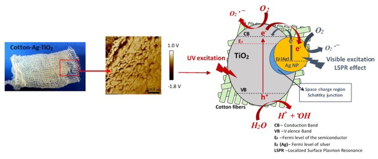 Scheme 1 TiO2 functionalized cotton from concept to mechanism of action [30]. Reprinted (adapted) with permission from Elsevier