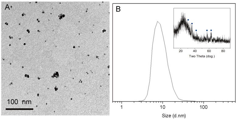 Figure 2 Characterization of nanoparticles: TEM (A) and DLS (B) images of Fe3O4 NPs with 9nm particle sizes; the inserted image is the XRD image