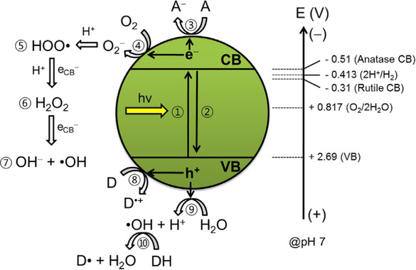 Figure 3 Schematic illustration for photocatalysis mechanism of nano-TiO2