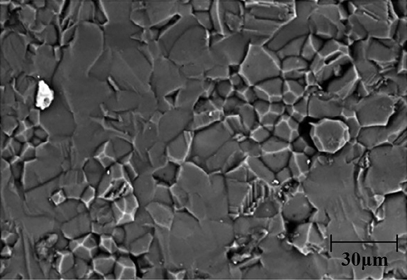 Figure 6 Surface fracture of alumina-NbC [41]