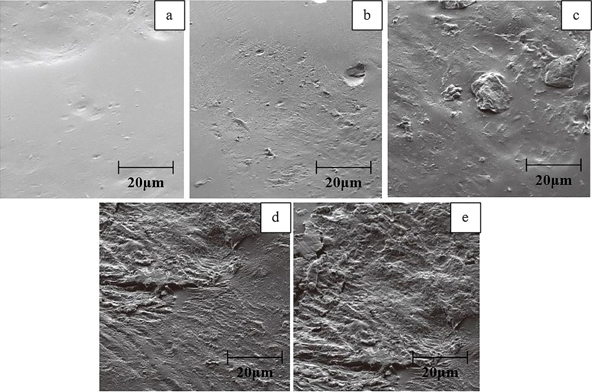 Figure 8 Scanning electron micrographs of fracture surfaces with different nano-HA contents [51] (a) PLLA; (b) 10% nano-HA; (c) 20% nano-HA; (d) 30% nano-HA; (e) 40% nano-HA