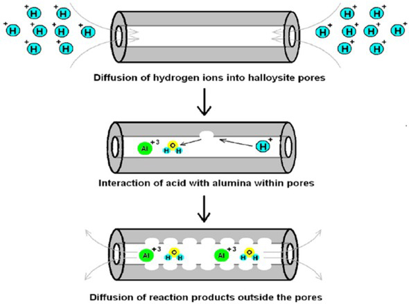 Figure 4 Acid etching of alumina inner layers from halloysite lumen demonstrated by Lvov et al. [79]
