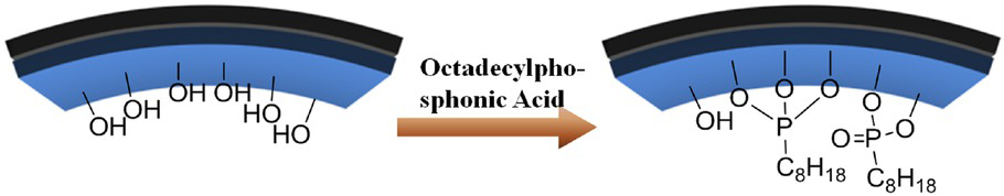 Figure 5 Selective modification of the inner surface by octadecylphosphonic acid proposed by Lvov et al. [19]