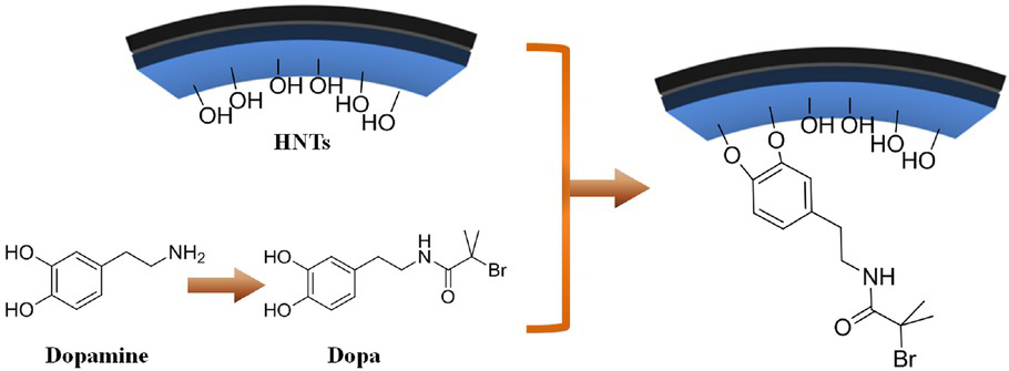 Figure 6 Dopamine derivative for selective modification of the inner surface of HNTs demonstrated by Takahara et al. [12]