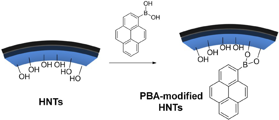 Figure 7 Selective modification of the inner surface by 1-pyrenylboronic acid conducted by our group [35]