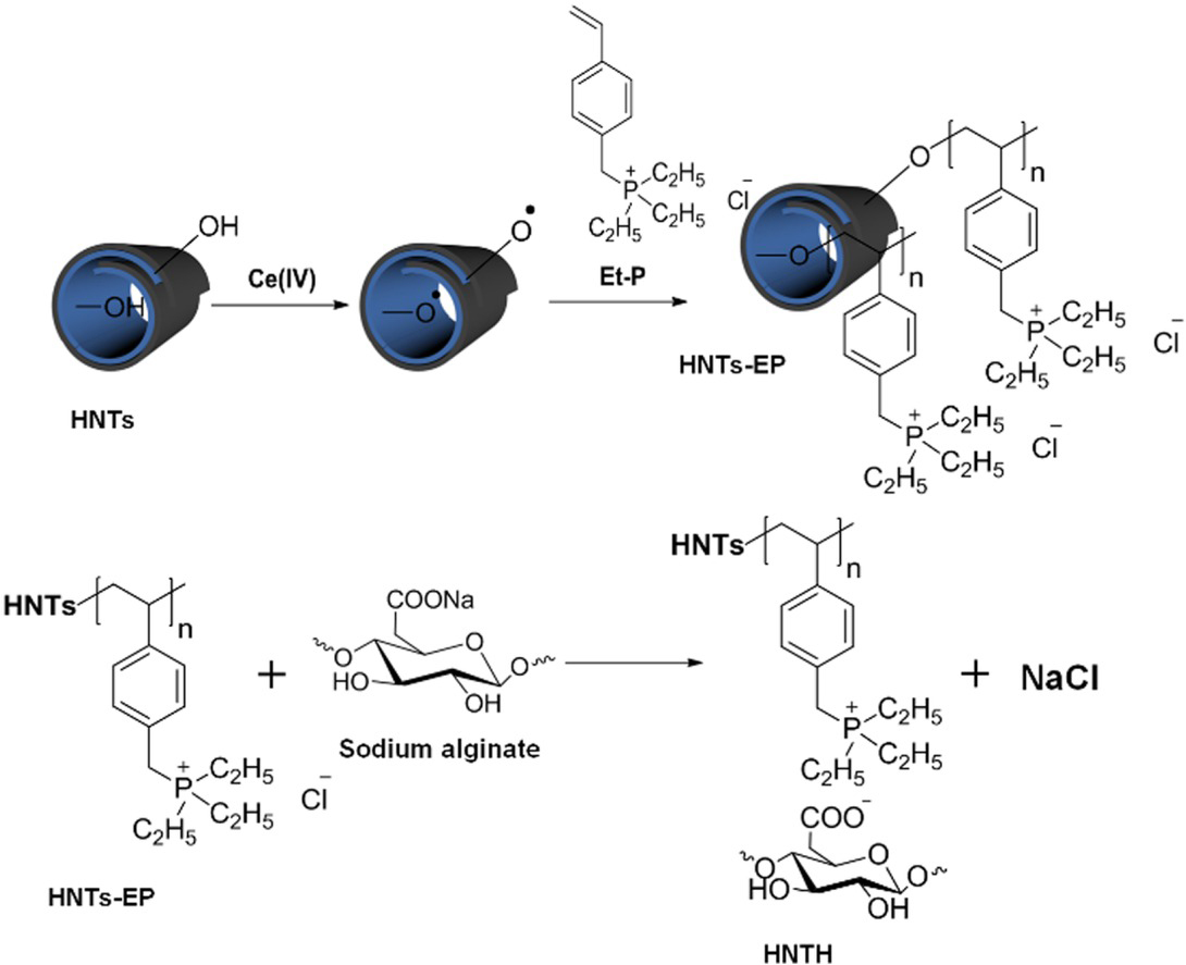 Figure 8 Grafting poly(triethyl(4-vinylbenzyl)phosphonium chloride) onto HNT by a redox system consists of Ce(IV) and -OH groups located on HNTs and the preparation of a hydrogel [113]