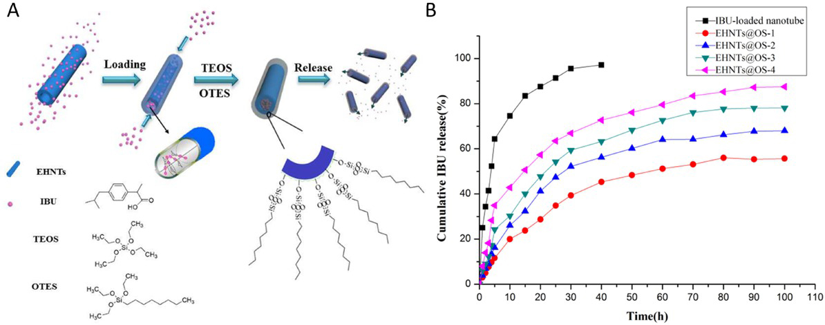 Figure 9 Schematic representation of IBU loading, modification, and drug-release process (A). Release profiles of IBU from the EHNTs@OS with different compositions (conducted) by Zhong et al. [81]