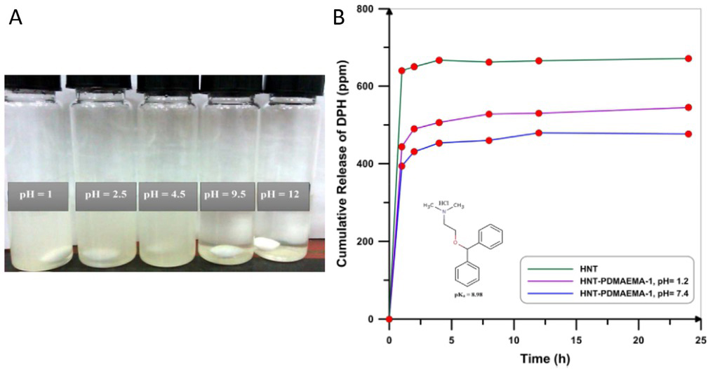 Figure 10 Sensitivity of HNT-PDMAEMA aqueous solutions with concentration of about 0.2 mg/mL to pH just 2 h after sonication (A), cumulative release of DPH from HNT and HNT-PDMAEMA-1 at two different pH values (B) demonstrated by Hemmatpour et al. [119]
