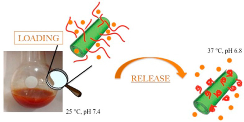 Figure 11 The release mechanism of curcumin was drew by Cavallaro et al. [120]