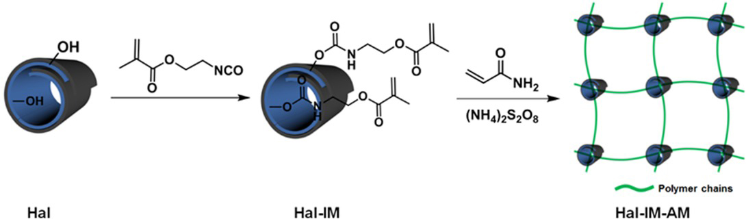 Figure 18 The modification of Hal by 2-isocyanatoethyl methacrylate (IM) and the preparation of Hal-IM-AM hydrogels [173]