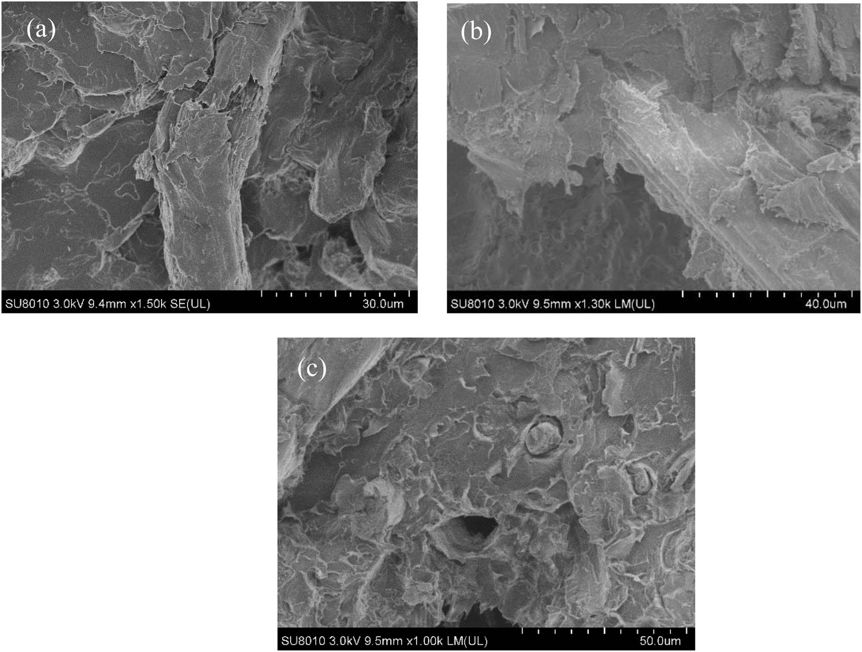 Figure 8
SEM micrographs of fracture surface of biocomposites: (a) PLA/BP-60, (b) PLA/BP-100 and (c) PLA/BP-200.