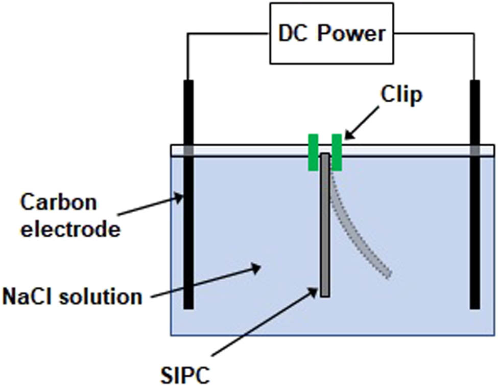 Figure 2
Illustration of the experimental setup for the electromechanical response test.