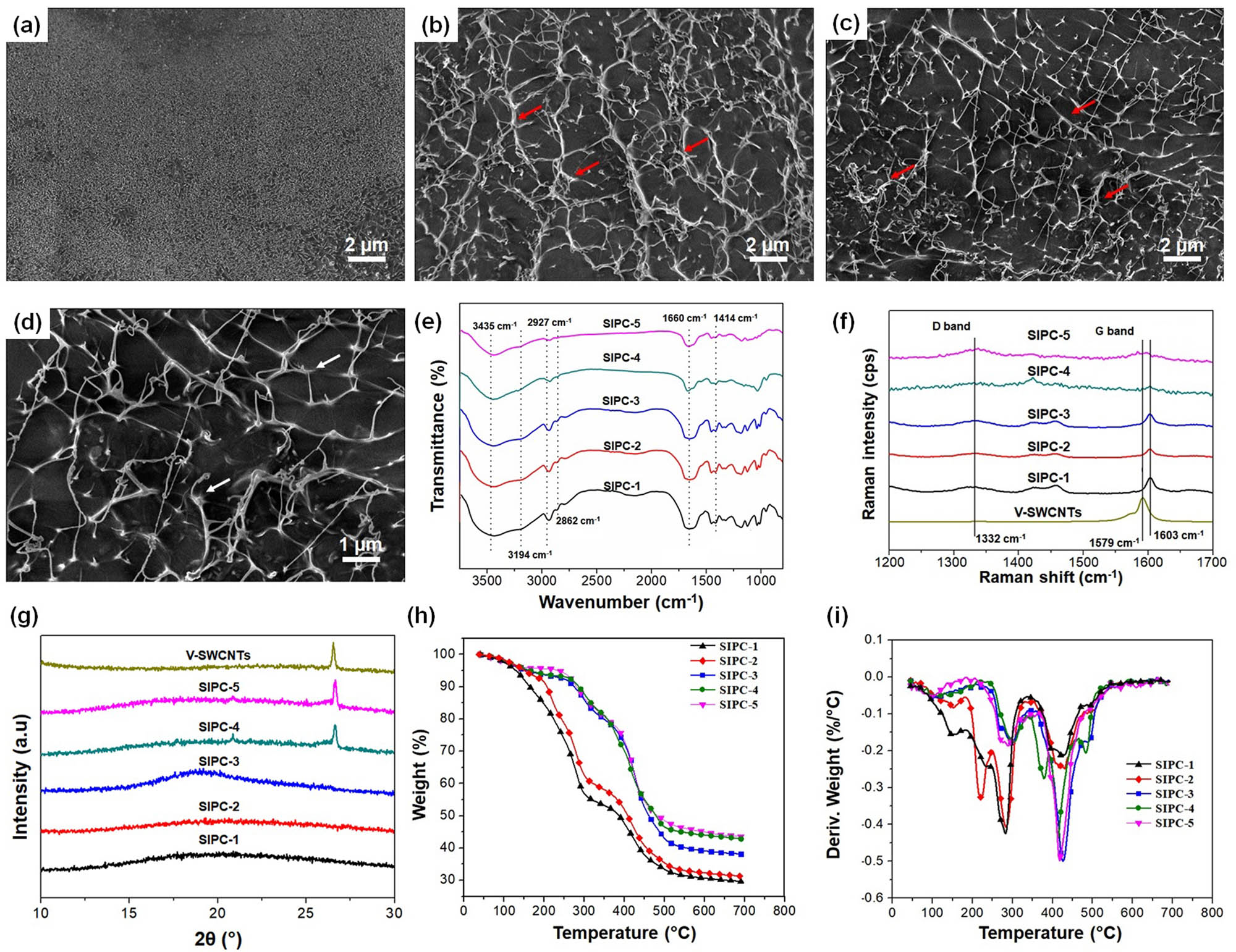 Figure 4
FE-SEM images of (a) SIPC-1, (b) SIPC-4, and (c and d) SIPC-5 (the red arrows indicate the SWCNT bundle networks and the white arrows show the embedment of SWCNTs in the polymer matrix). (e) FTIR spectra, (f) Raman spectra, (g) XRD patterns, (h) TG curves, and (i) DTG curves of the SIPC hydrogels.