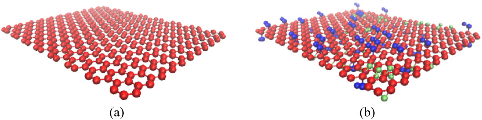 Figure 1 
               The microstructure of GP and GO [47]: (a) GP and (b) GO.
            