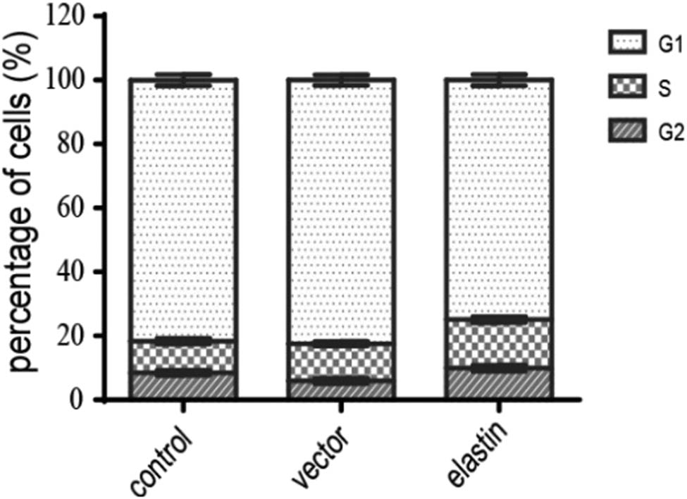 Figure 3 
                  Flow cytometry identification of G1, S, and G2 ratio of BMSCs with different treatments.
               