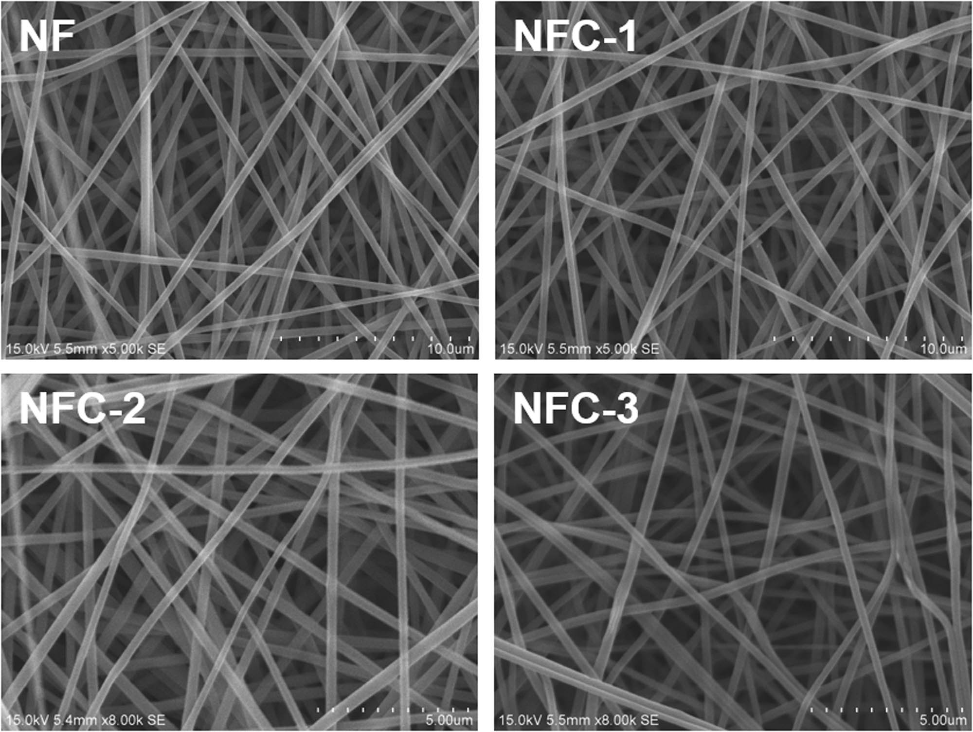 Figure 8 
                  SEM pictures of NF and NFC nanofibrous mats.
               