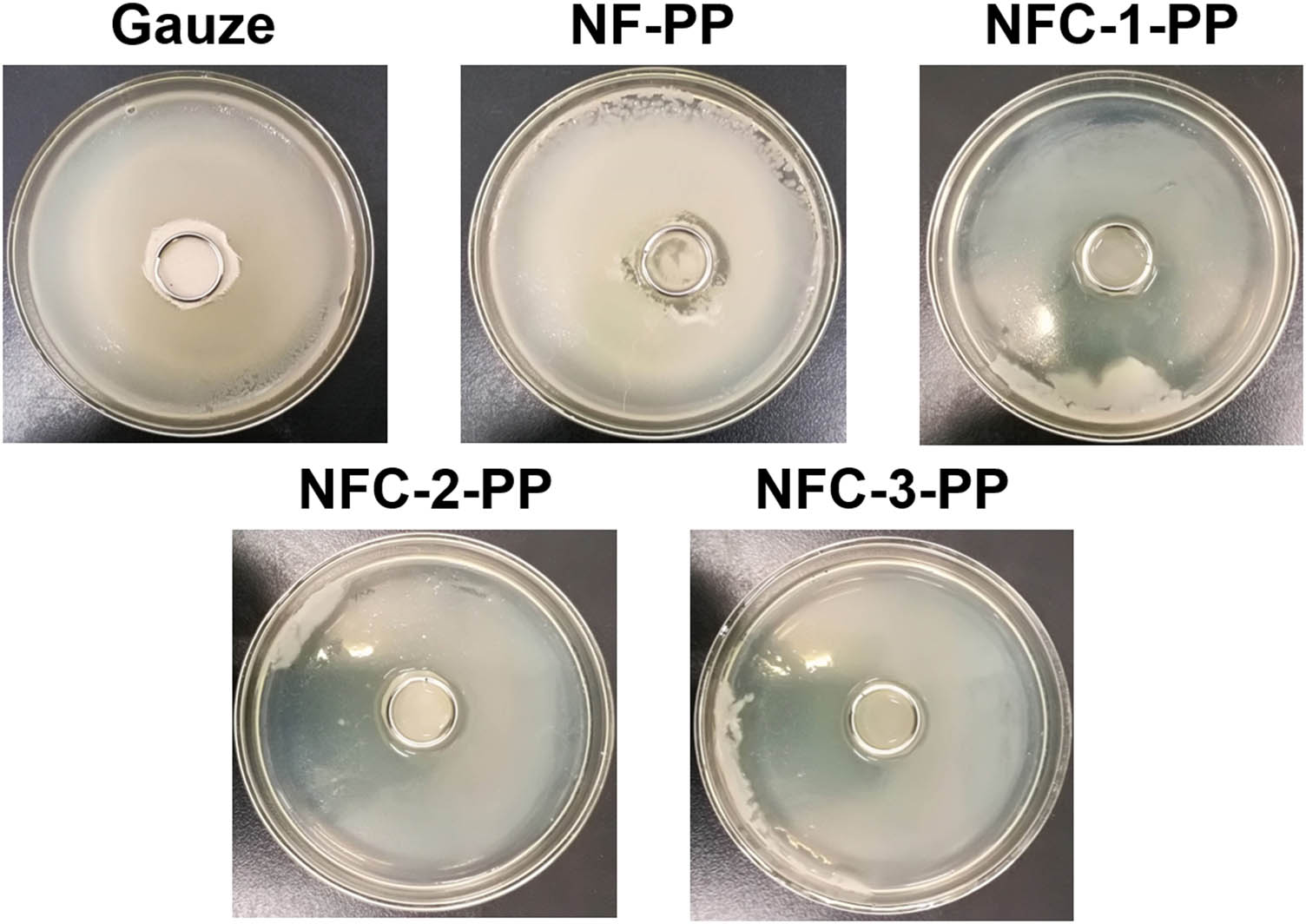 Figure 9 
                  Antibacteria test of NF-PP and NFC-PP with different CIP concentrations.
               