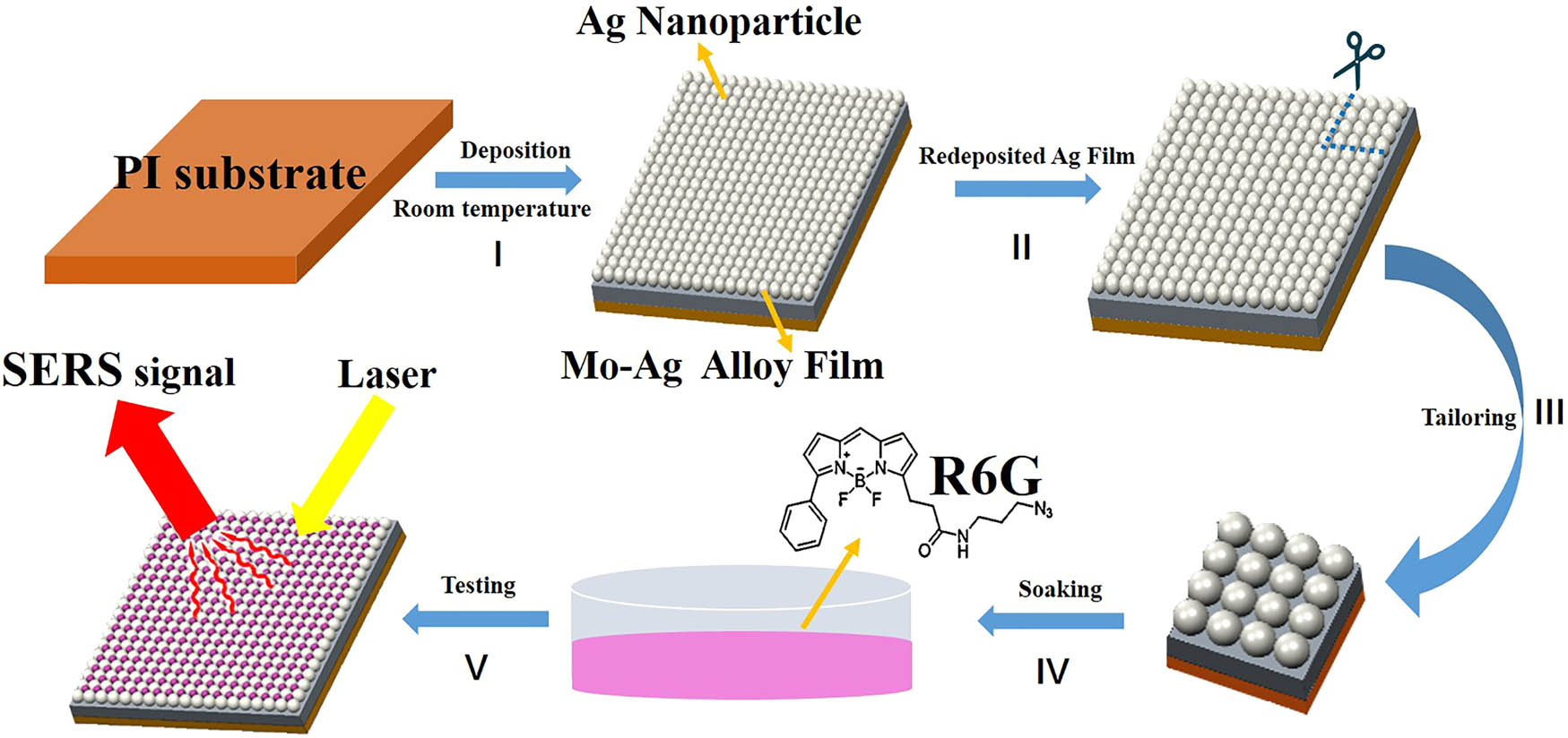 Figure 1 
                  Schematic diagram of the Ag film/Ag nanoparticles/Mo–Ag alloy film formation and detection process of SERS performance: (I) the Mo–Ag alloy films were deposited on the flexible PI substrate at room temperature. (II) A layer of Ag film was further sputtered on the surface of the Ag nanoparticles/Mo–Ag alloy films. (III) The Ag film/Ag nanoparticles/Mo–Ag alloy film was tailored into 5 × 5 mm pieces. (IV) The Ag film/Ag nanoparticles/Mo–Ag alloy films were soaked in R6G solutions. (V) Using Raman spectrometer to test the SERS performance of the Ag film/Ag nanoparticles/Mo–Ag alloy films.
               