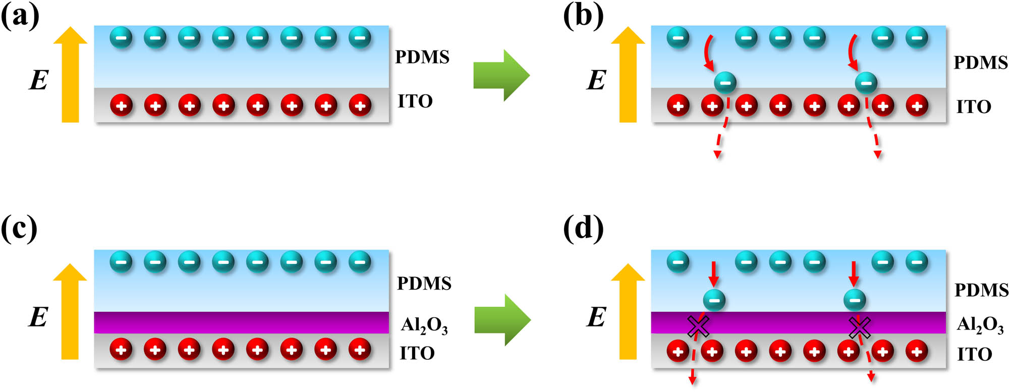 Figure 6
Working principle of the Al2O3 electron blocking layer. Schematic diagram of (a) the charge distribution and (b) electron drift process in the TENG without Al2O3. Schematic diagram of (c) the charge distribution and (d) the electron drift motion blocked by the Al2O3 layer in the TENG with an inserted Al2O3 layer.