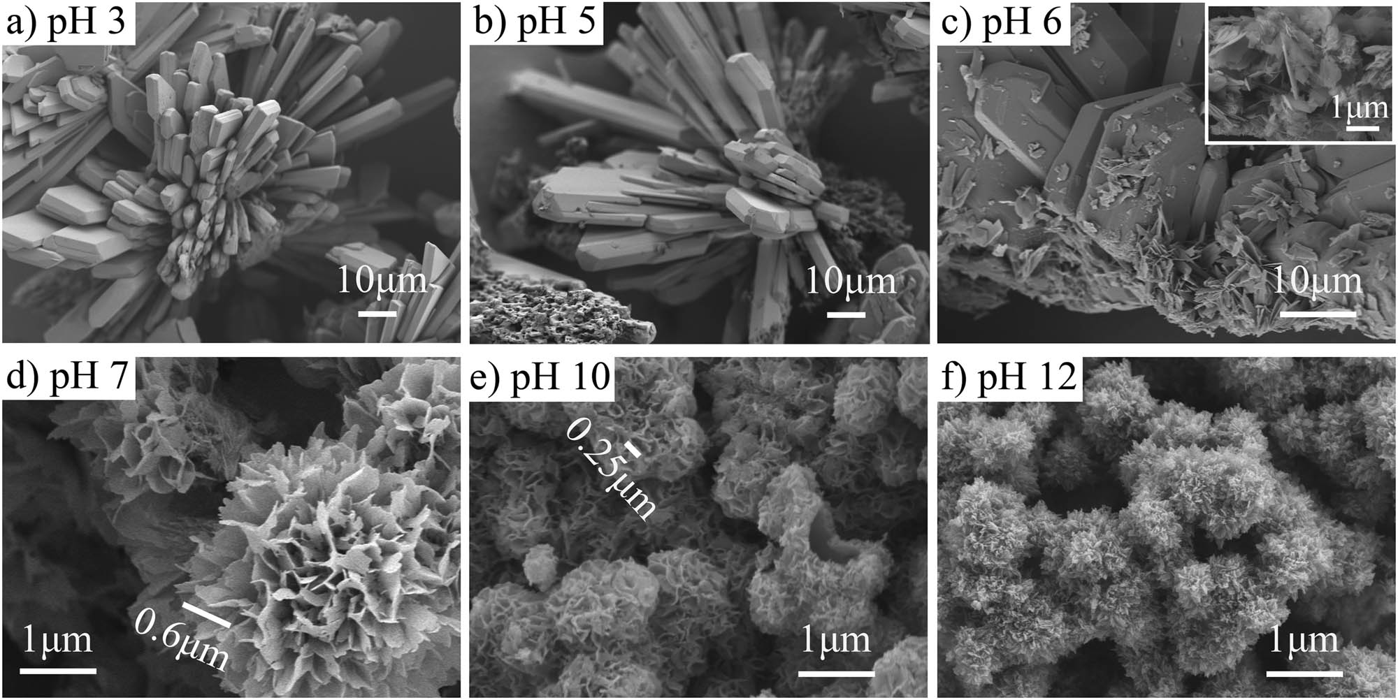Figure 3 
                  SEM images of the conversion products after CC being soaked in 1 M K2HPO4 with varied pH 3–12 for 3 days at 37°C. (a) pH = 3, (b) pH = 5, (c) pH = 6, (d) pH = 7, (e) pH = 10, and (f) pH = 12. The inset image for (c) pH 6 represents the morphology of the chunks on a larger crystal. Note the difference in magnification for the upper (bar: 10 µm) and bottom raw (bar: 1 µm) images.
               