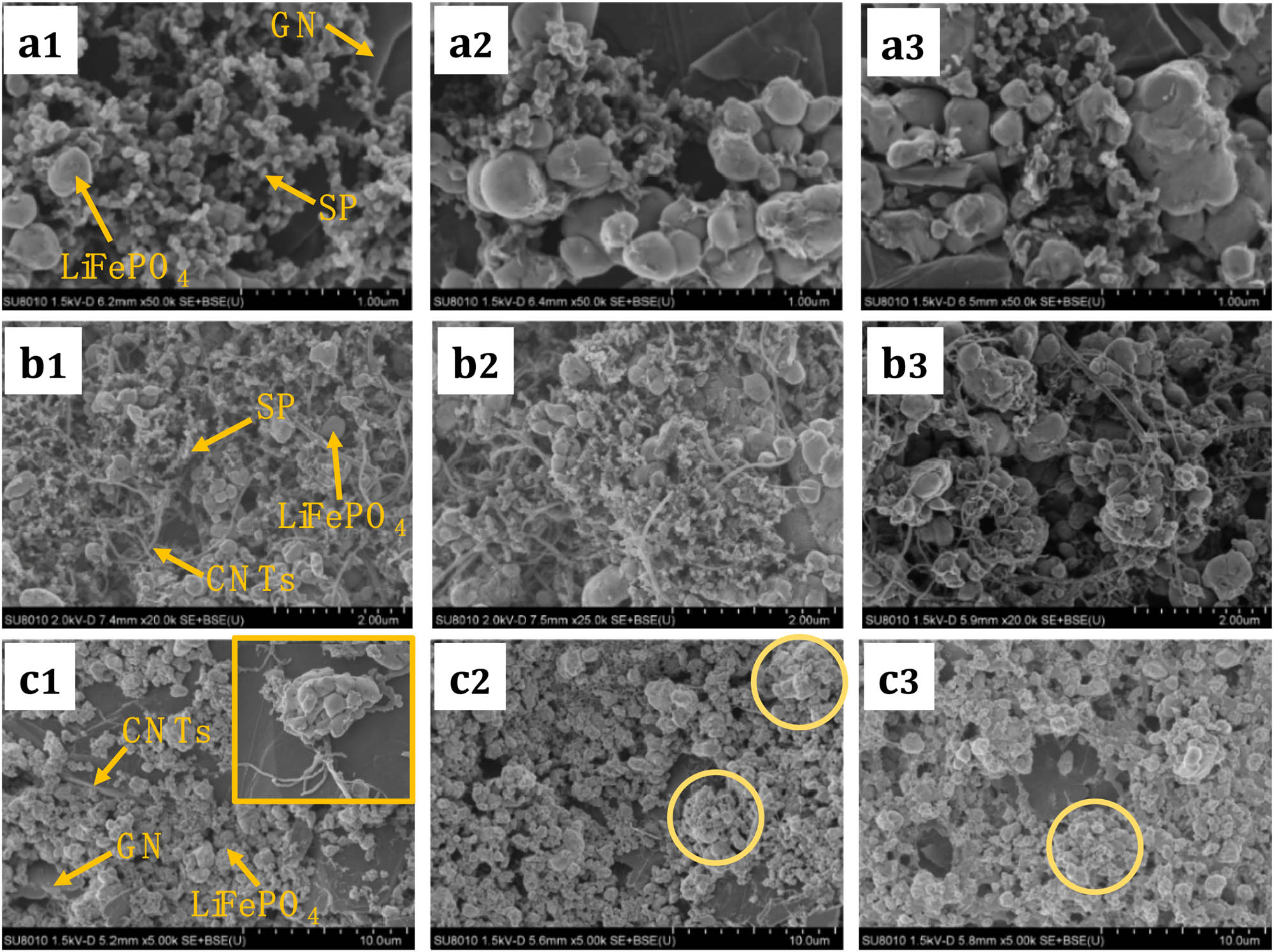 Figure 4
Surface SEM morphology of the LiFePO4 cathode plates with various binary conductive agents in different ratios (a1–a3: SP-GN, b1–b3: SP-CNT, c1–c3: CNT-GN).