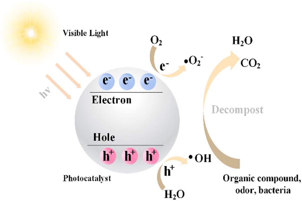Figure 1 
               Diagram of photocatalytic degradation mechanism.
            