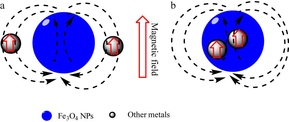 Figure 5 
                        The influence of doping other metals in different positions on magnetic field strength: (a) outer layer; (b) inner layer [115].
                     