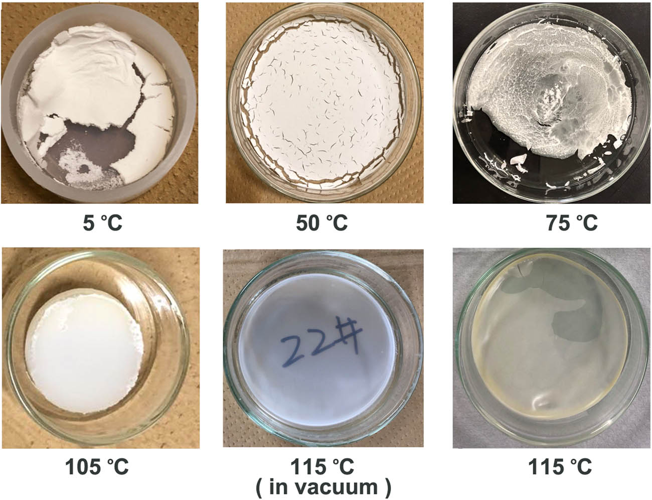 Figure 1 
                  Casted ZnO NP (4%)/LDPE films formed at different casting temperatures.
               