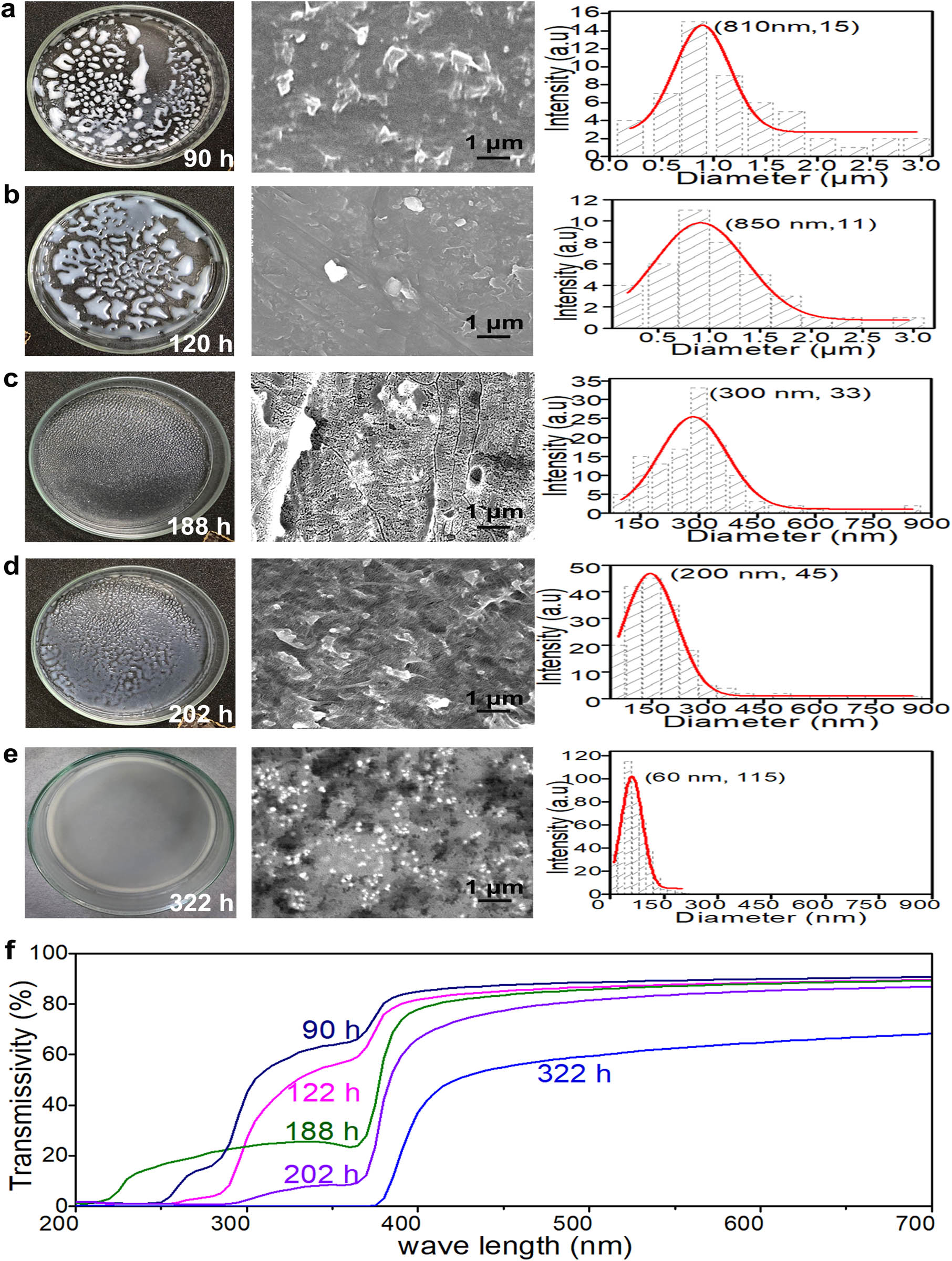 Figure 3 
                  Effect of dissolution time on ZnO NP dispersion in LDPE; (a–e) the left column presents the ZnO/LDPE casted films, the middle column presents the SEM images of the hot-pressed ZnO/LDPE films, and the right column presents the corresponding particle size distributions; (f) the transmissivity curves of the ZnO/LDPE films after the different dissolution times.
               