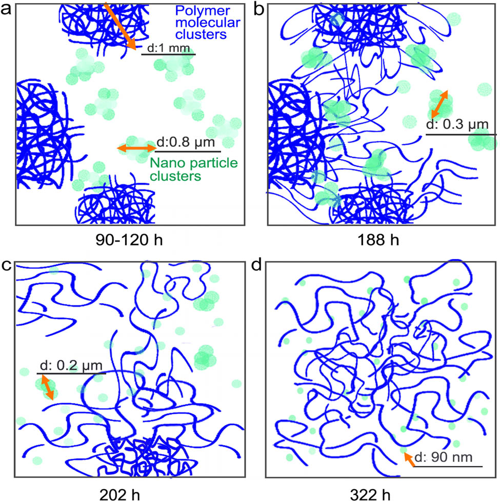 Figure 4 
                  The mechanism of uniformly mixing LDPE and NPs governed by time, temperature, and concentration of LDPE and NPs.
               