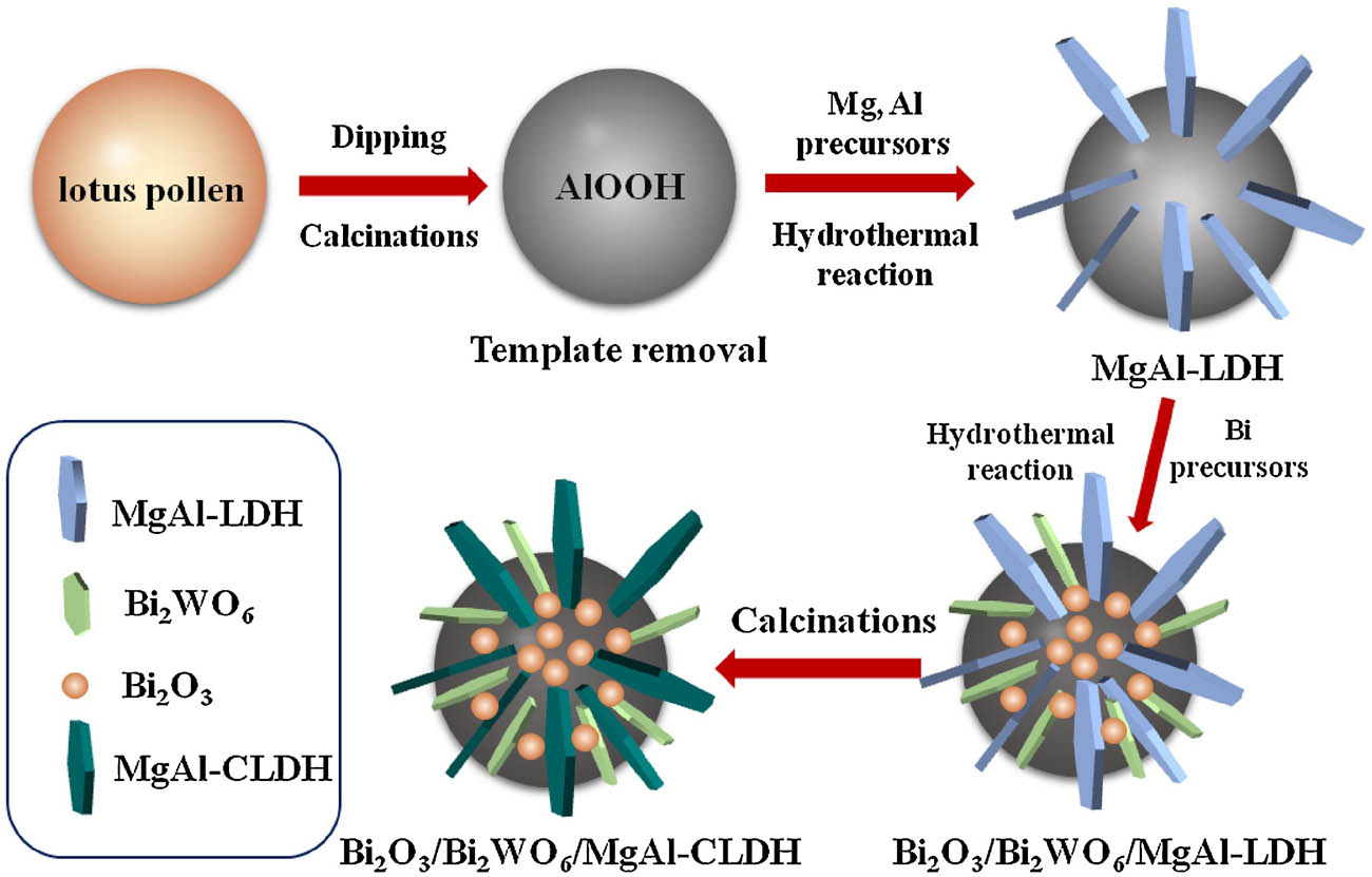 Figure 5 
                  The synthesis process of Bi2O3/Bi2WO6/MgAl-CLDH. Reproduced with permission from ref. [96]; copyright (2018), Elsevier.
               