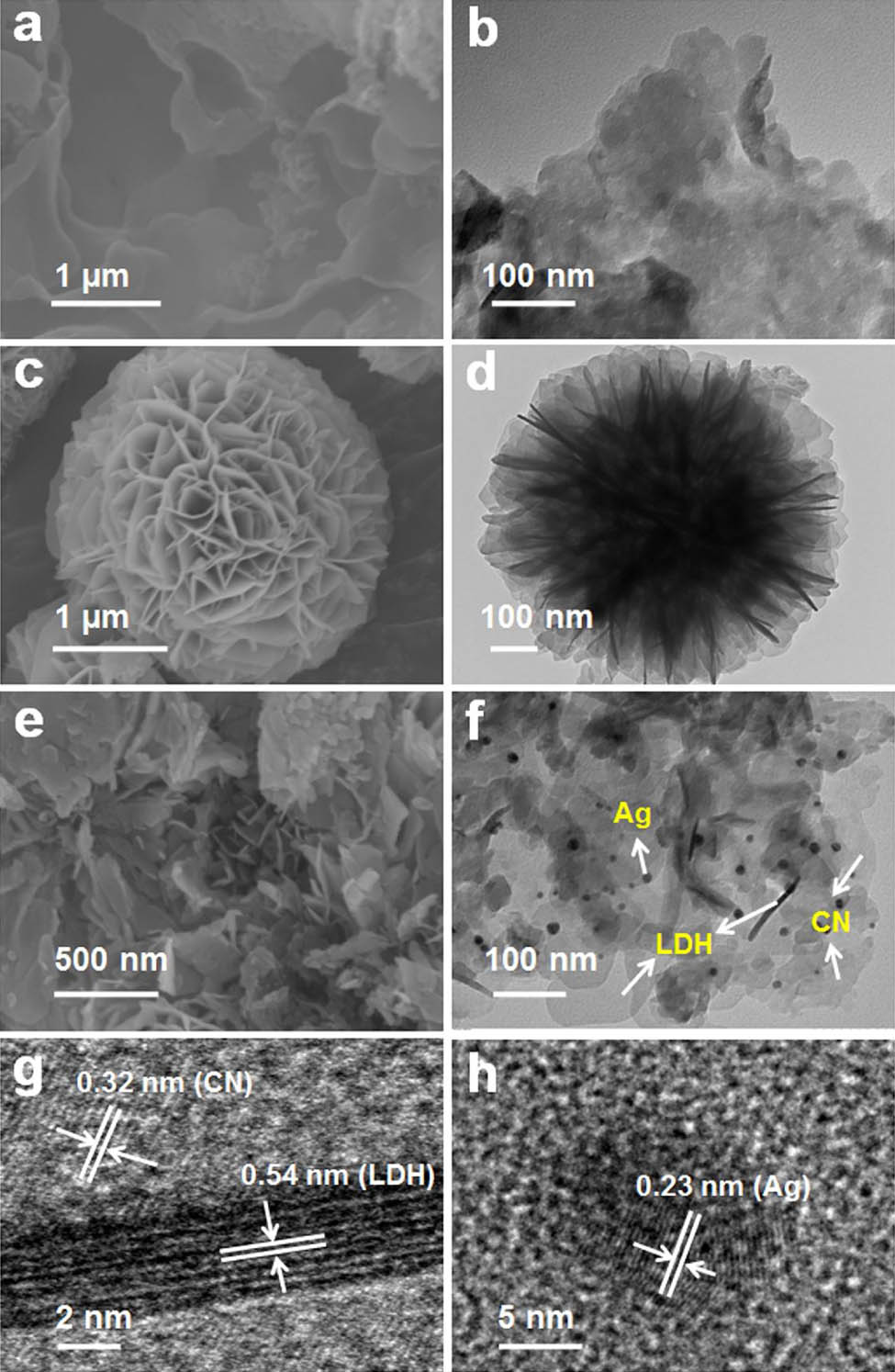 Figure 6 
                  (a, c, and e) SEM and (b, d, and f) TEM images of CN, LDH, and the ALDHCN-15 samples, respectively. (g and h) High-resolution TEM images of the ALDHCN-15 nanocomposite. Reproduced with permission from ref. [106]; copyright (2018), Elsevier.
               