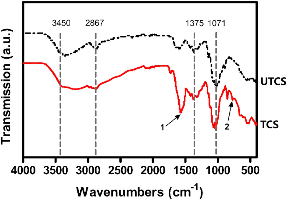 Figure 2 
                  FTIR spectra of the chitosan dressing before and after optimization.
               