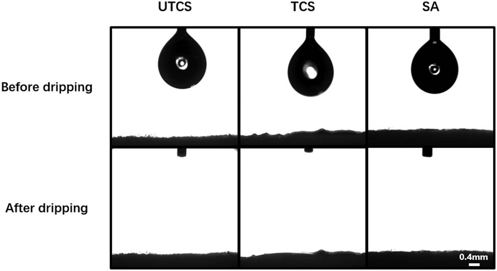 Figure 4 
                  The contact angle of three dressings under wetting conditions before and after water drop. Scale bars represent 0.4 mm.
               