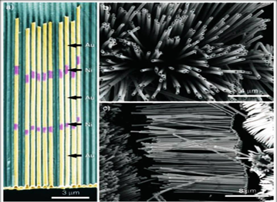 Figure 10 
                  The images of multisegmented nickel nanotubes using SEM Lee et al. [112].
               
