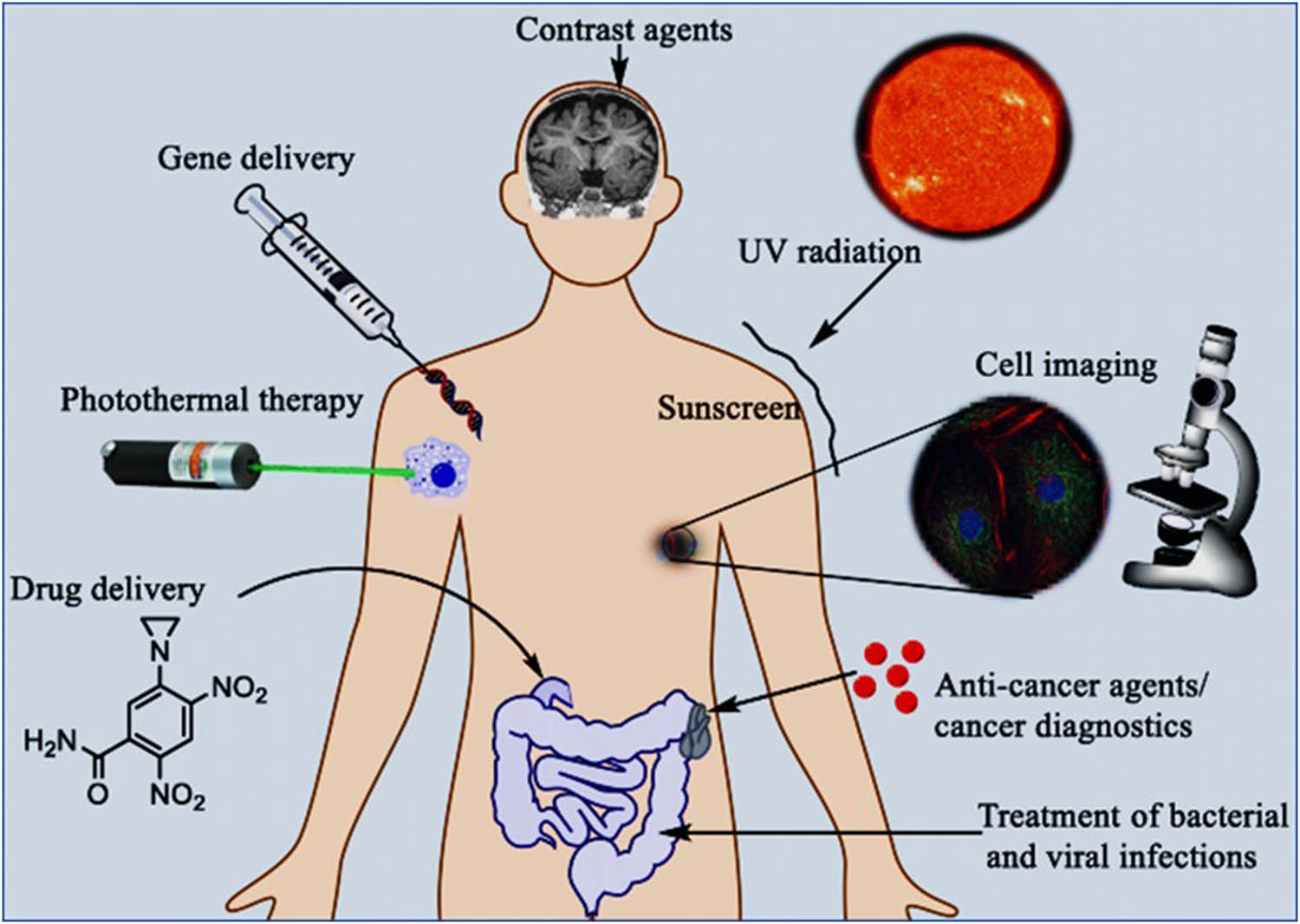 Figure 11 
                  Biomedical applications of magnetic functionalized metal nanoparticles [121].
               